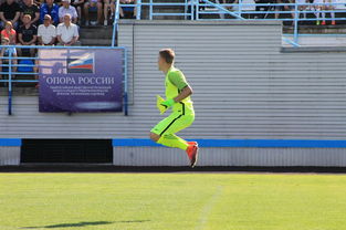 九游体育平台 -NBA常规赛最新形势：菲尼克斯太阳高居榜首，皇家马德里强势追赶，冠军归属成迷